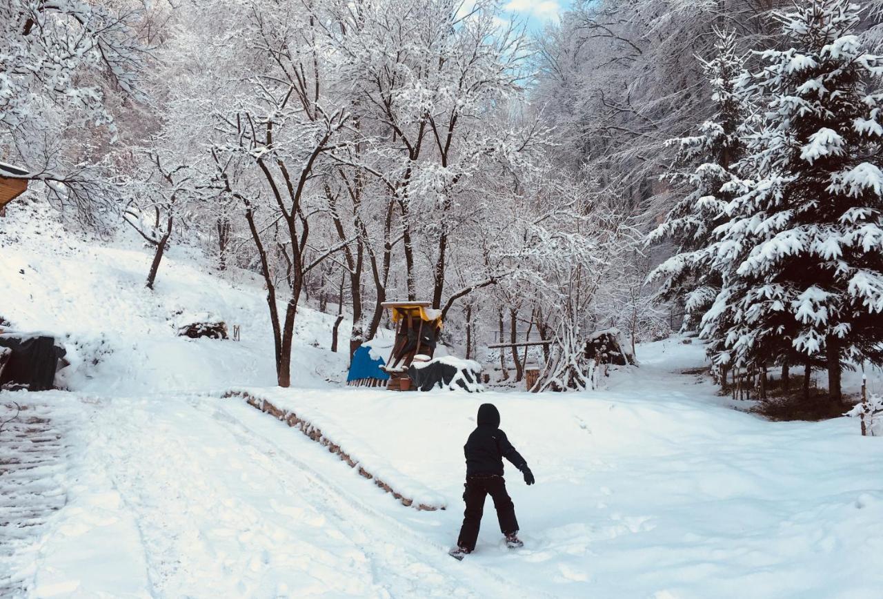 Soho Lodge Rasnov Luaran gambar