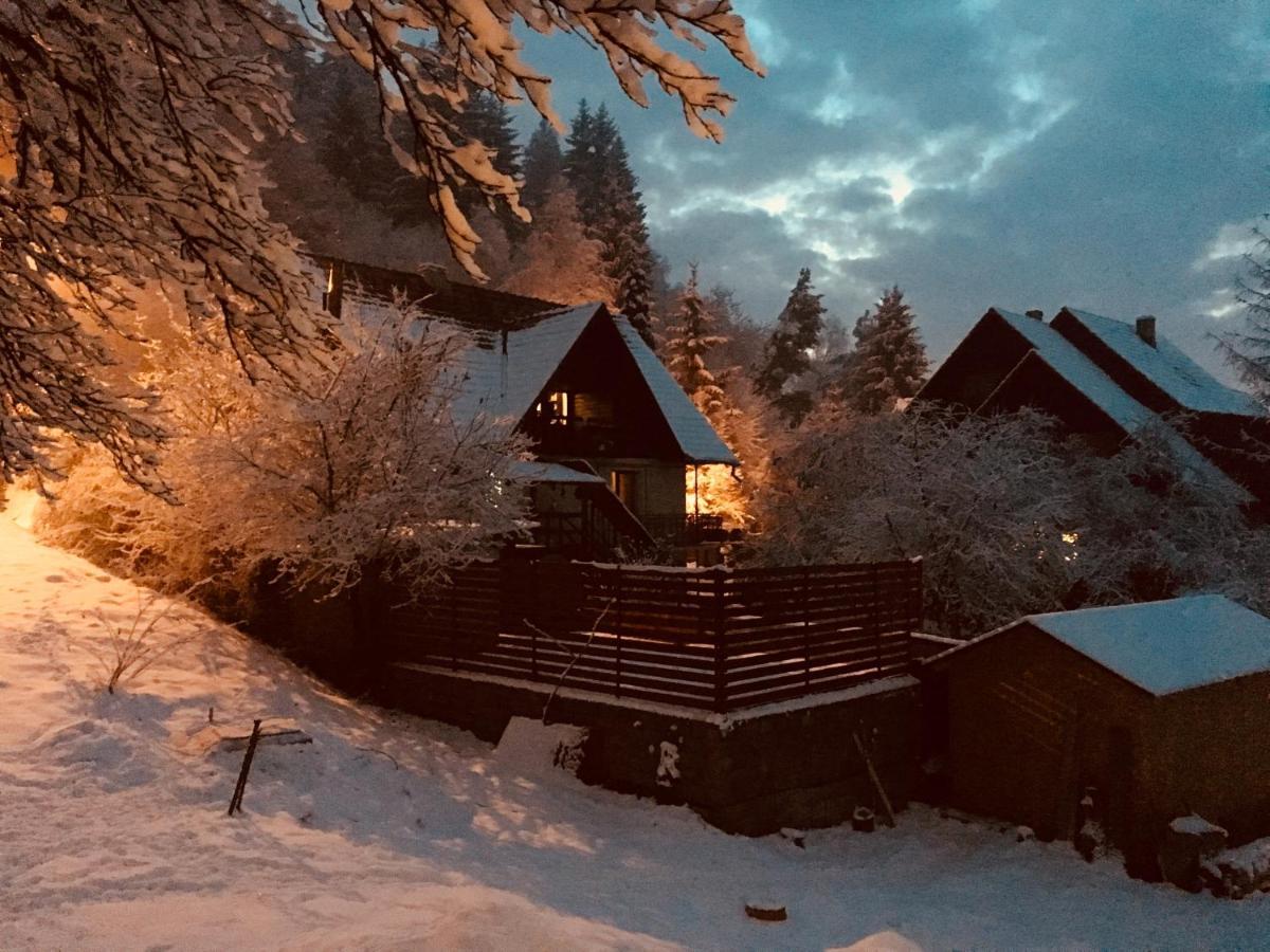 Soho Lodge Rasnov Luaran gambar