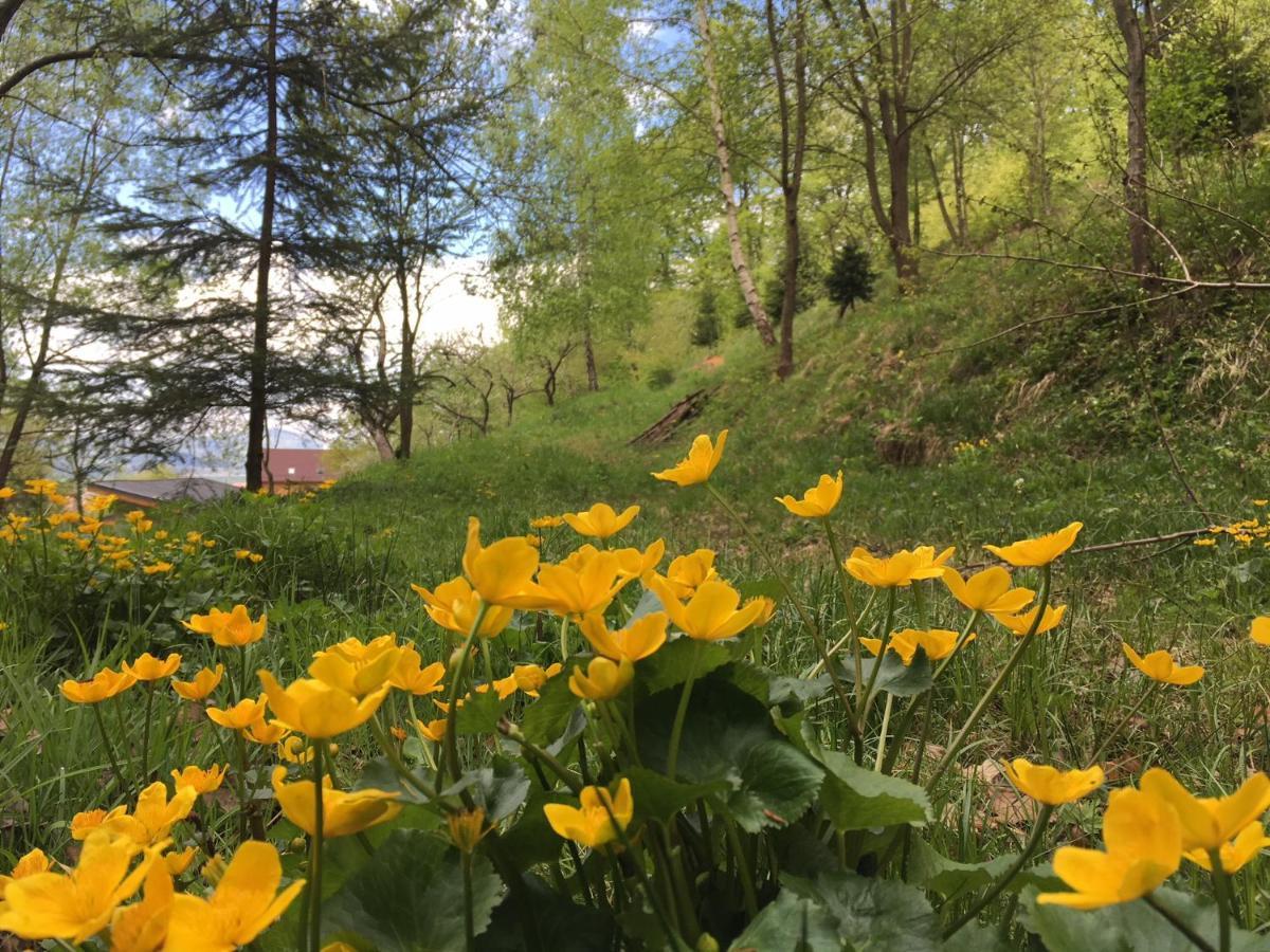 Soho Lodge Rasnov Luaran gambar