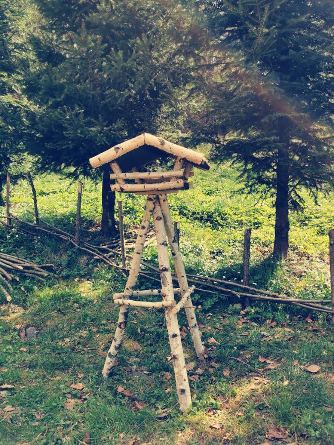 Soho Lodge Rasnov Luaran gambar