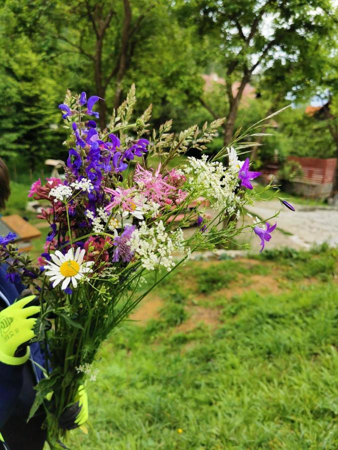 Soho Lodge Rasnov Luaran gambar