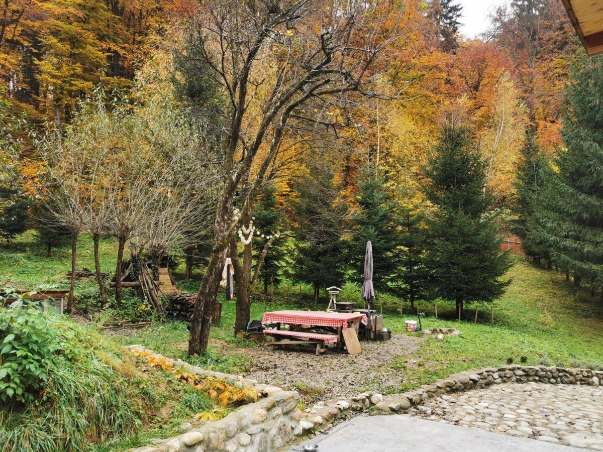 Soho Lodge Rasnov Luaran gambar