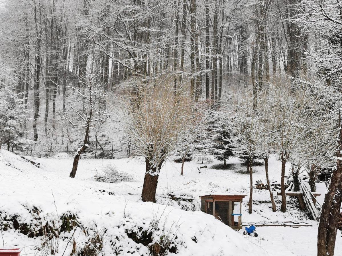 Soho Lodge Rasnov Luaran gambar