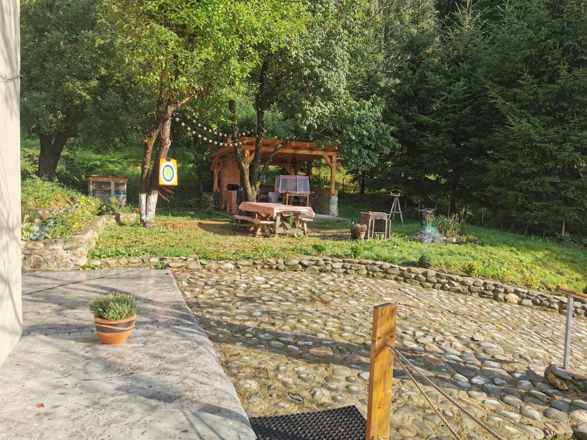 Soho Lodge Rasnov Luaran gambar