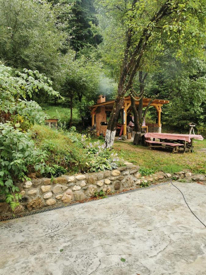 Soho Lodge Rasnov Luaran gambar