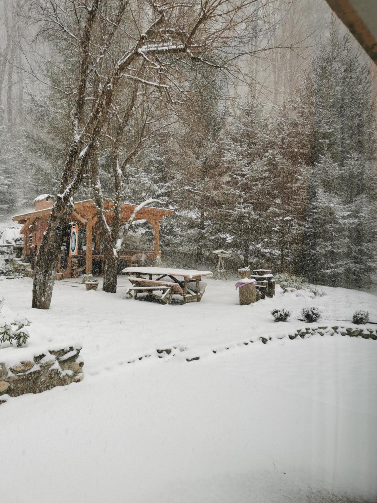 Soho Lodge Rasnov Luaran gambar