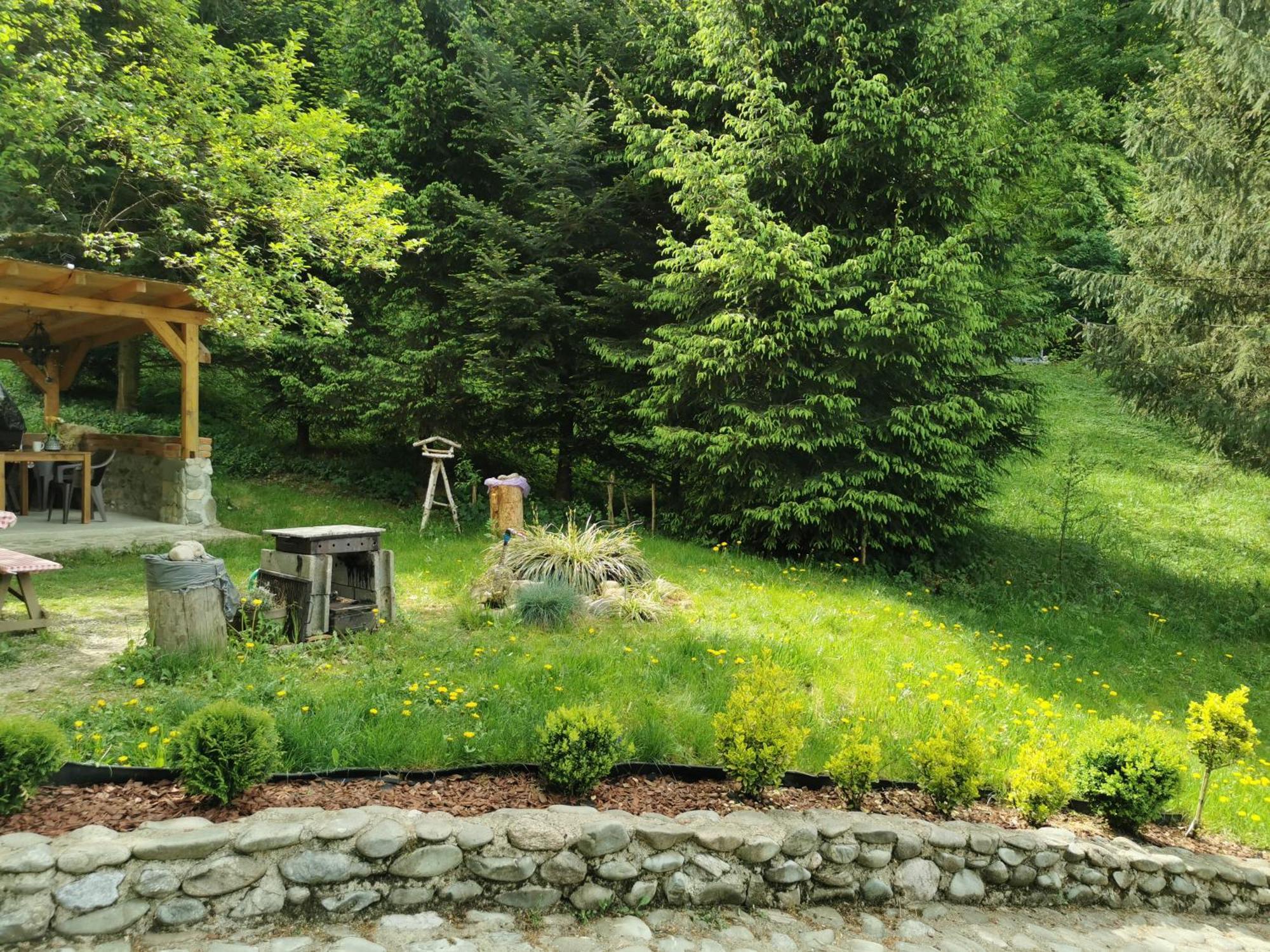 Soho Lodge Rasnov Luaran gambar